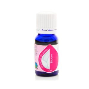 Oilg Blend Bloom 10Ml